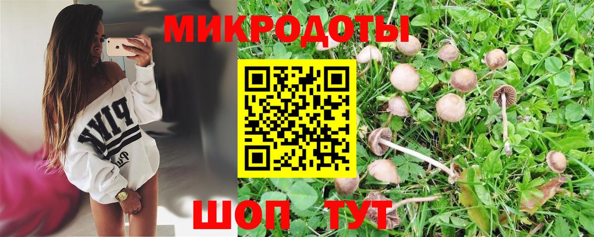 Галлюциногенные грибы прущие грибы Апатиты